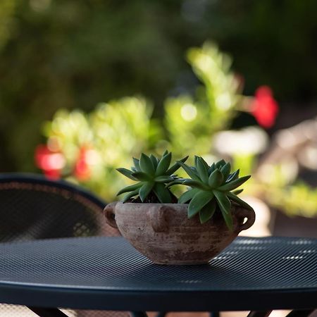 Agriturismo Il Colle เซียนา ภายนอก รูปภาพ