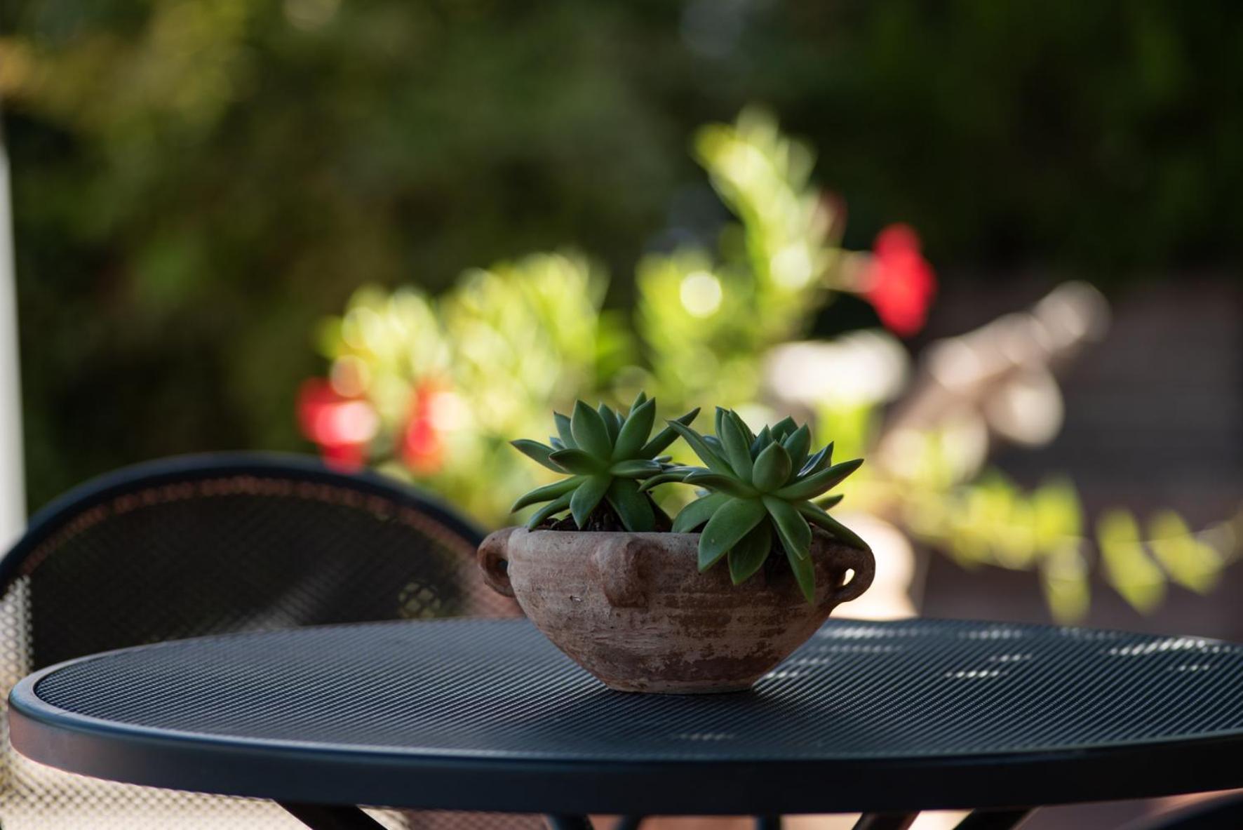 Agriturismo Il Colle เซียนา ภายนอก รูปภาพ
