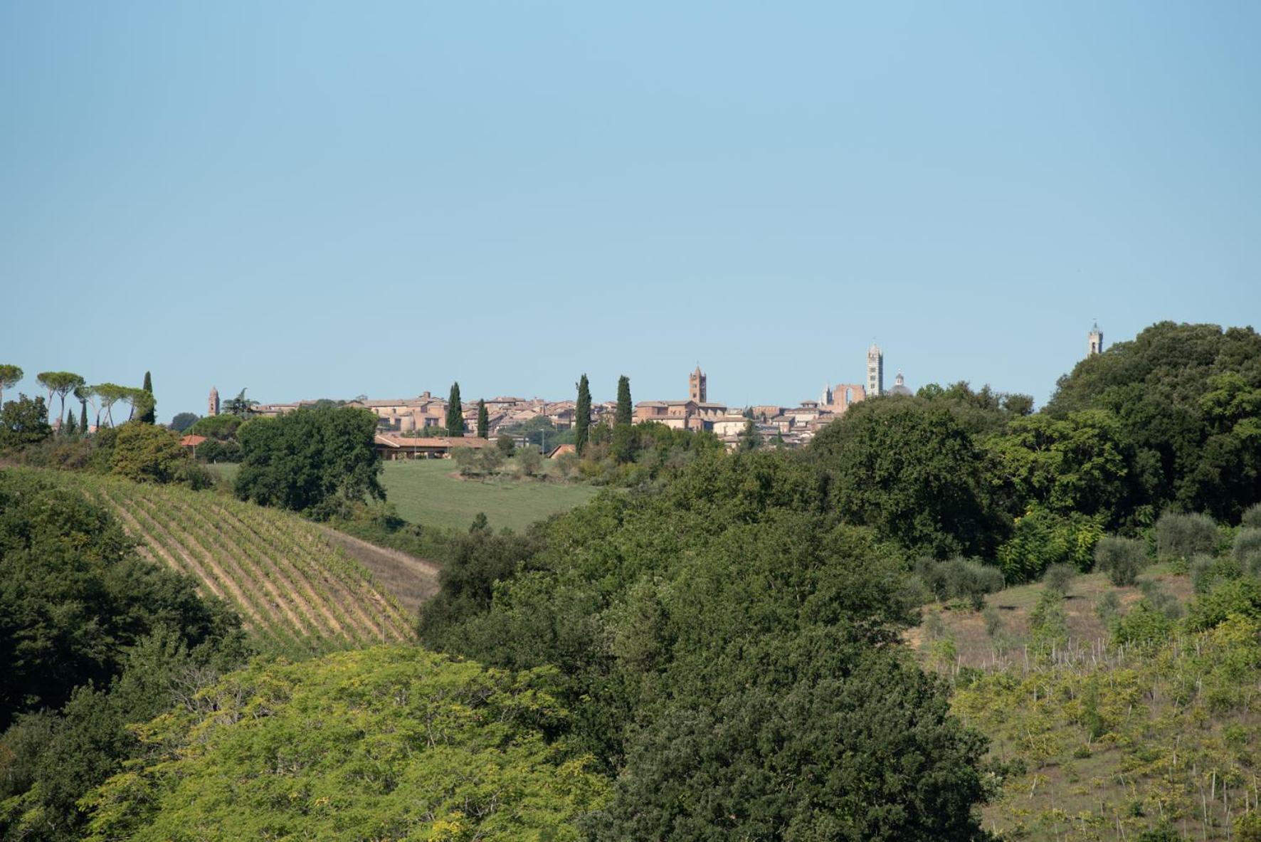 Agriturismo Il Colle เซียนา ภายนอก รูปภาพ