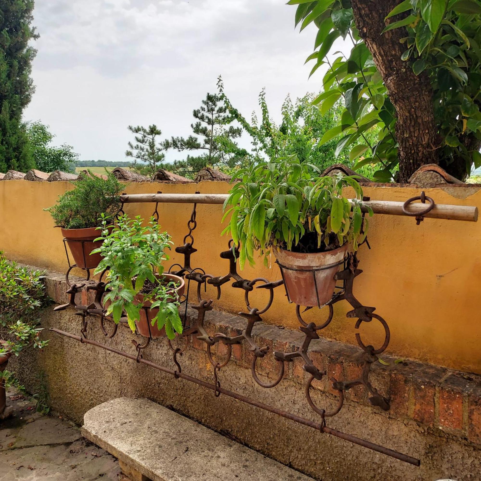 Agriturismo Il Colle เซียนา ภายนอก รูปภาพ