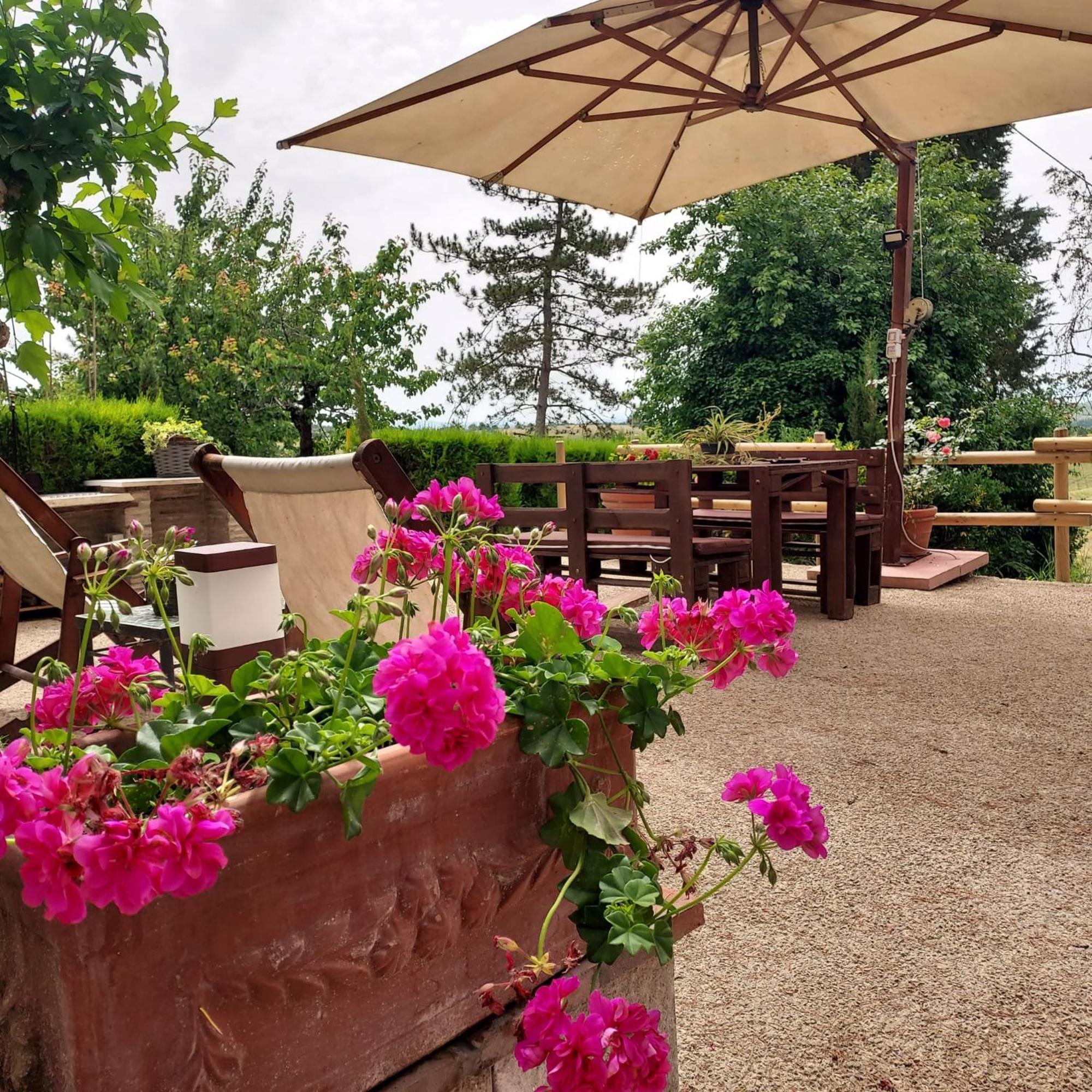 Agriturismo Il Colle เซียนา ภายนอก รูปภาพ
