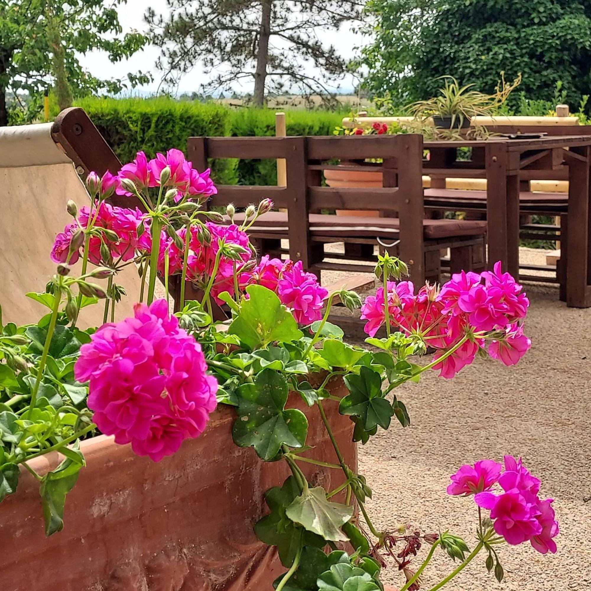 Agriturismo Il Colle เซียนา ภายนอก รูปภาพ