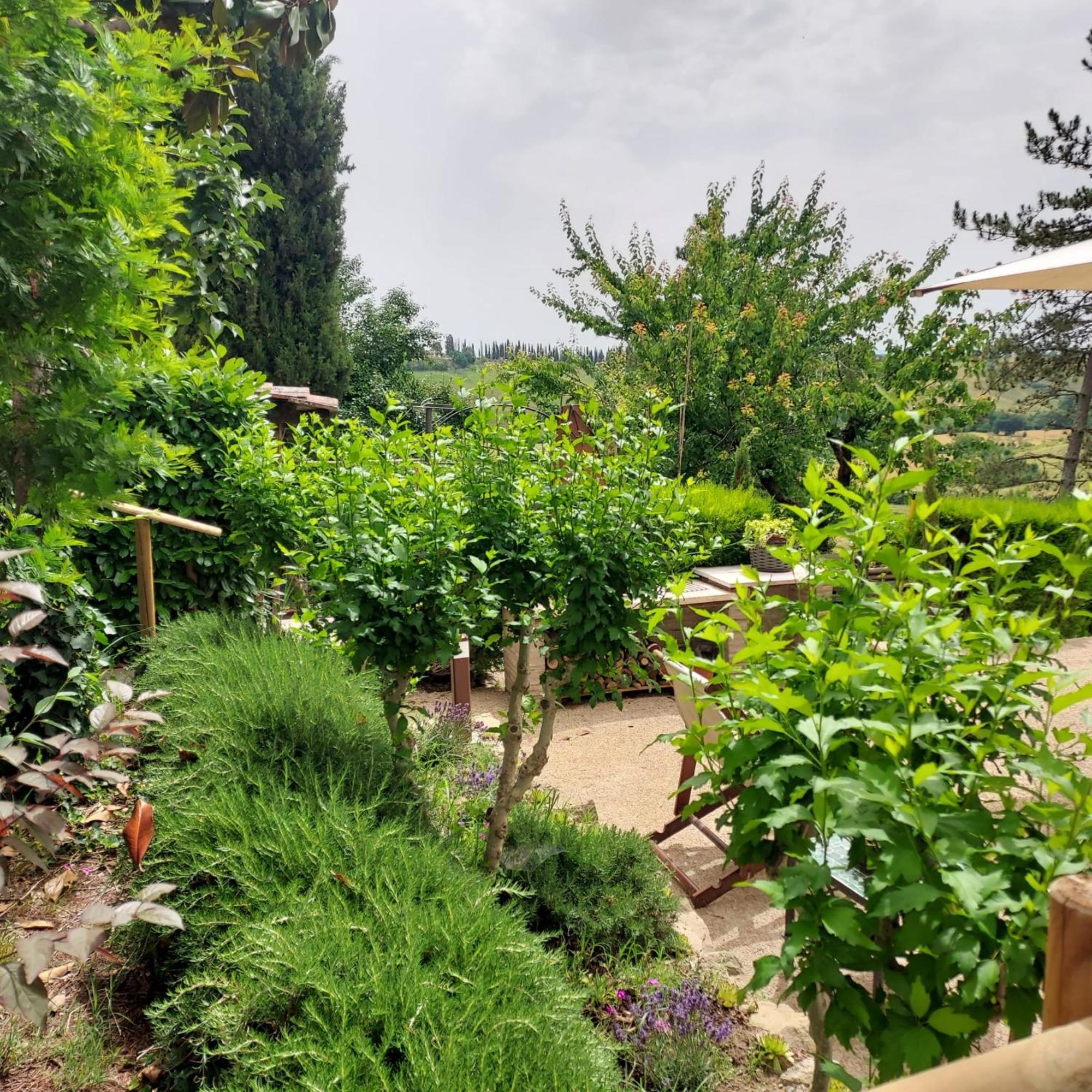Agriturismo Il Colle เซียนา ภายนอก รูปภาพ