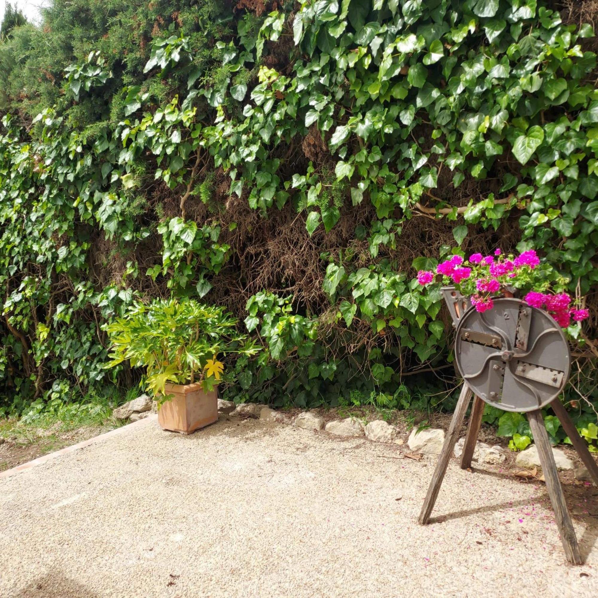 Agriturismo Il Colle เซียนา ภายนอก รูปภาพ