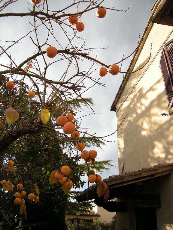Agriturismo Il Colle เซียนา ห้อง รูปภาพ