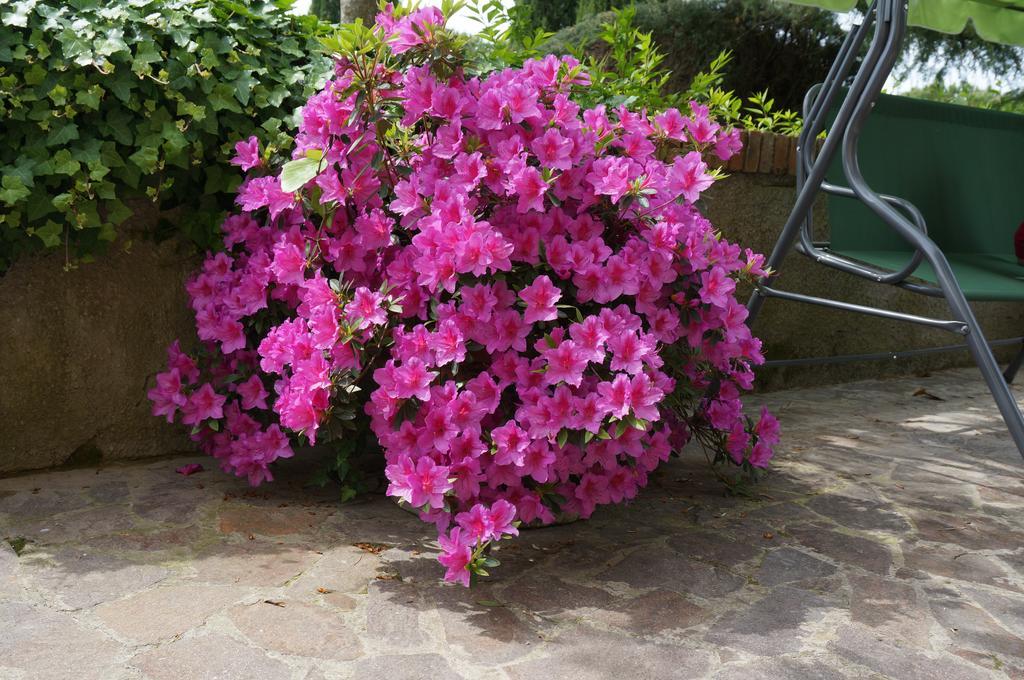 Agriturismo Il Colle เซียนา ภายนอก รูปภาพ