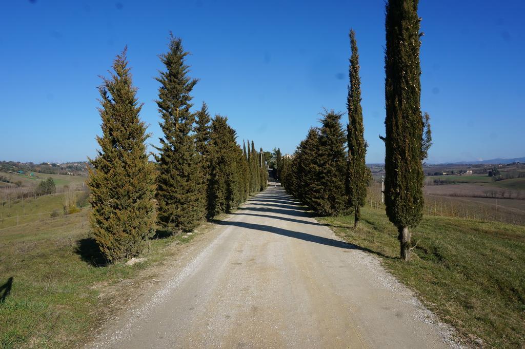 Agriturismo Il Colle เซียนา ภายนอก รูปภาพ