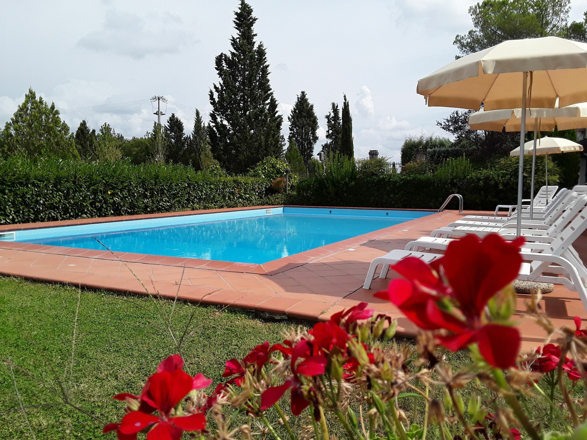 Agriturismo Il Colle เซียนา ภายนอก รูปภาพ